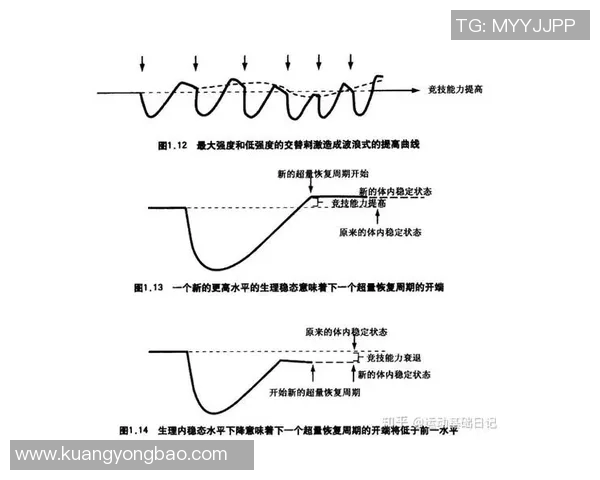 足球球星如何通过肌肉训练提升竞技状态和比赛表现解析